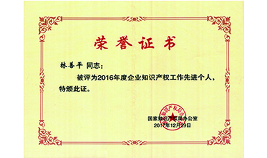 林善平榮獲國(guó)家“企業(yè)知識(shí)產(chǎn)權(quán)工作先進(jìn)個(gè)人”